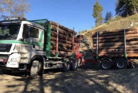 Holztransporte aus den heimischen Wäldern