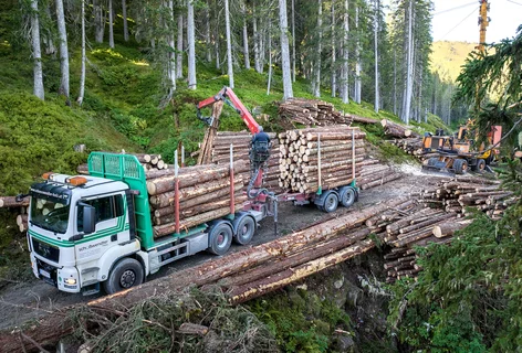 LKW für Holztransporte von Schößwendter Holz